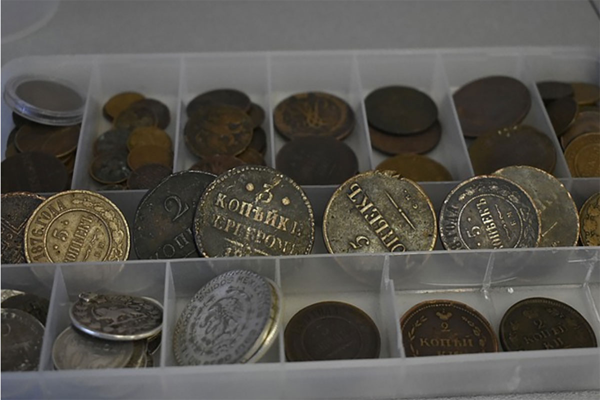 A Beginner's Guide to Coin Collecting